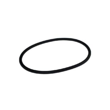 O-ring Sumpf Geschirrspüler BOSCH BekoDUN6634FX
