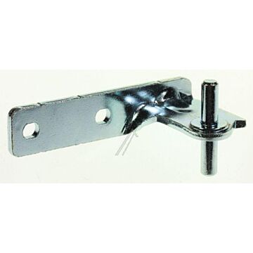 Midle Hinge Assy Asean Kühlschrank 4908770100