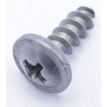 Self Washered Pt Screw (4*12) Kühlschrank 4242270100