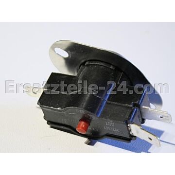 Regler-tempe R.100-80/140gr Trockner 028825