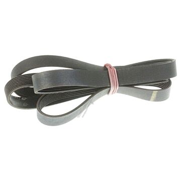 1181h8el Poly-v Riemen /rippenband Elastisch Waschmaschine 8227729