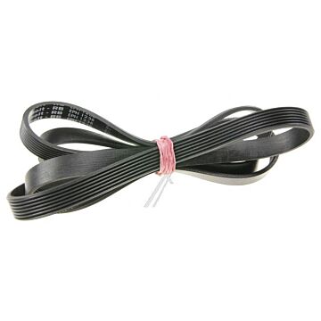 1238h7el Poly-v Riemen El 8-10g L=1238 Cf39pl Generico Waschmaschine 416004000